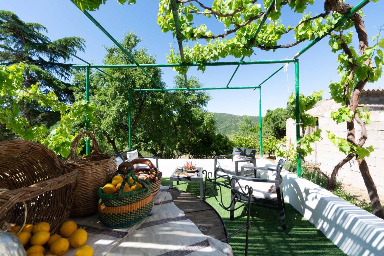 Villa Ferulas Oliena Exterior photo