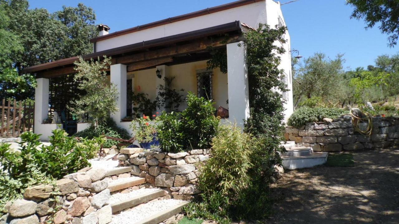 Villa Ferulas Oliena Exterior photo